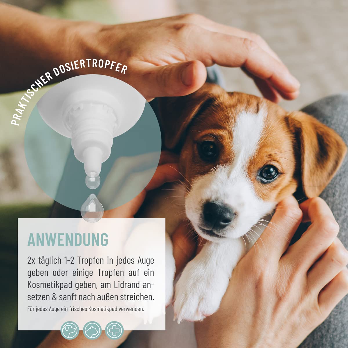ReaVET collyre spécial pour Chiens et Chats, pour Les Yeux irrités et Les Taches de Larmes, Soin des Yeux à l'argent colloïdal