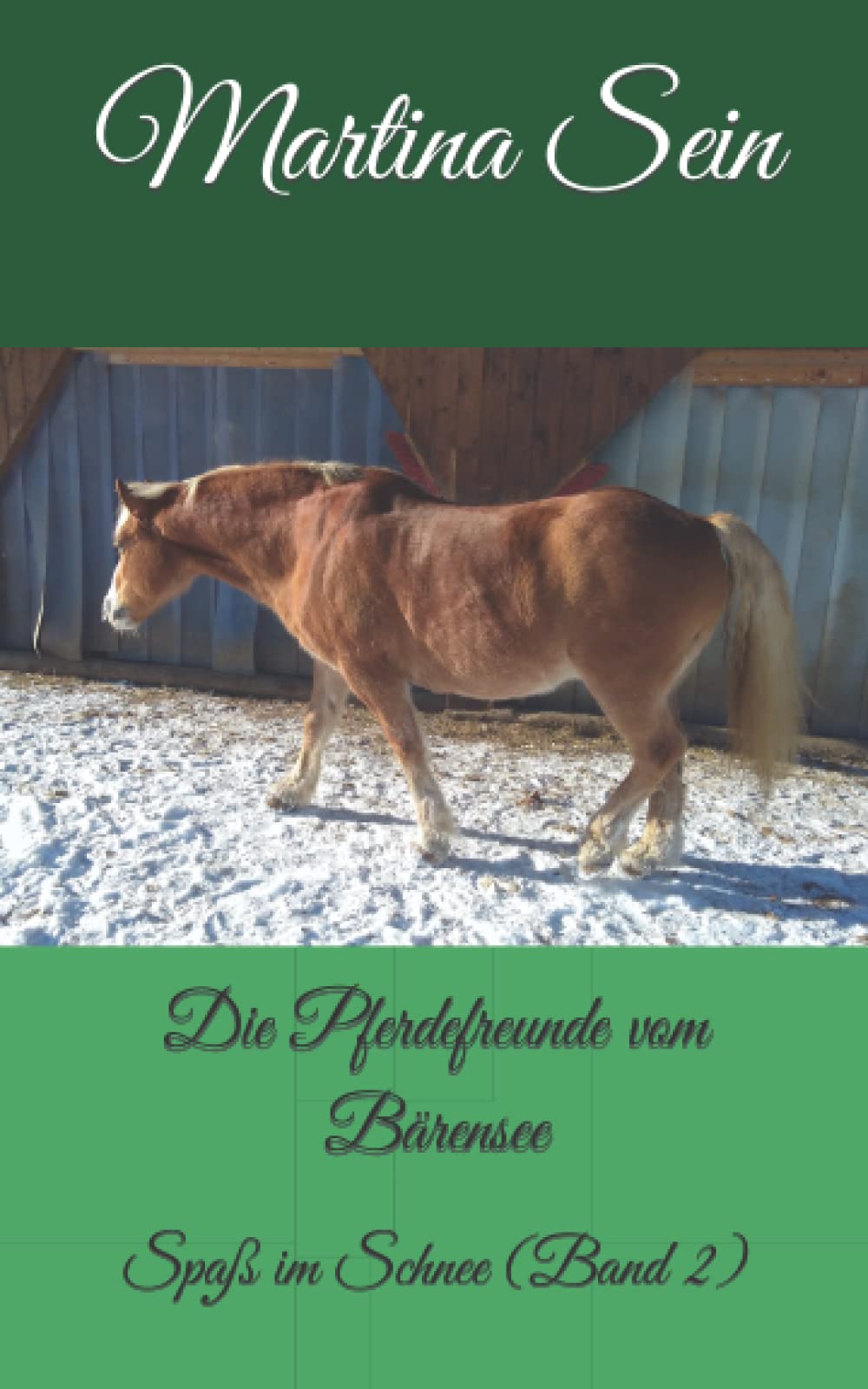 Die Pferdefreunde vom Bärensee: Spaß im Schnee