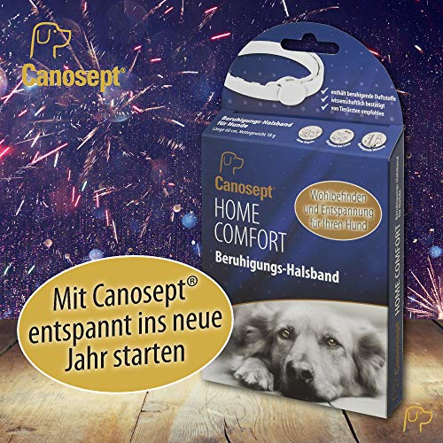 Canosept Home Comfort Beruhigungshalsband - Hundehalsband mit Baldrian & Lavendel fördert Wohlbefinden & Entspannung bei Hunden