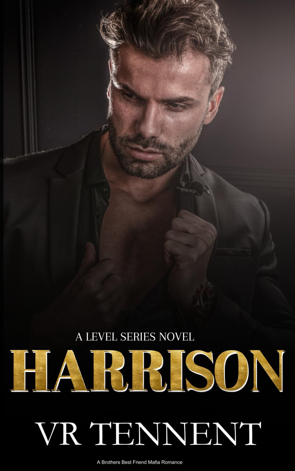 Harrison: A brother's best friend mafia romance (The Level Series)