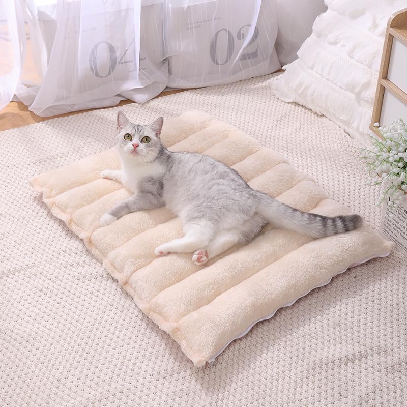 Amazon | KUMORIJP ペットクッション 猫 トンネル切替可能 猫ハウス 猫