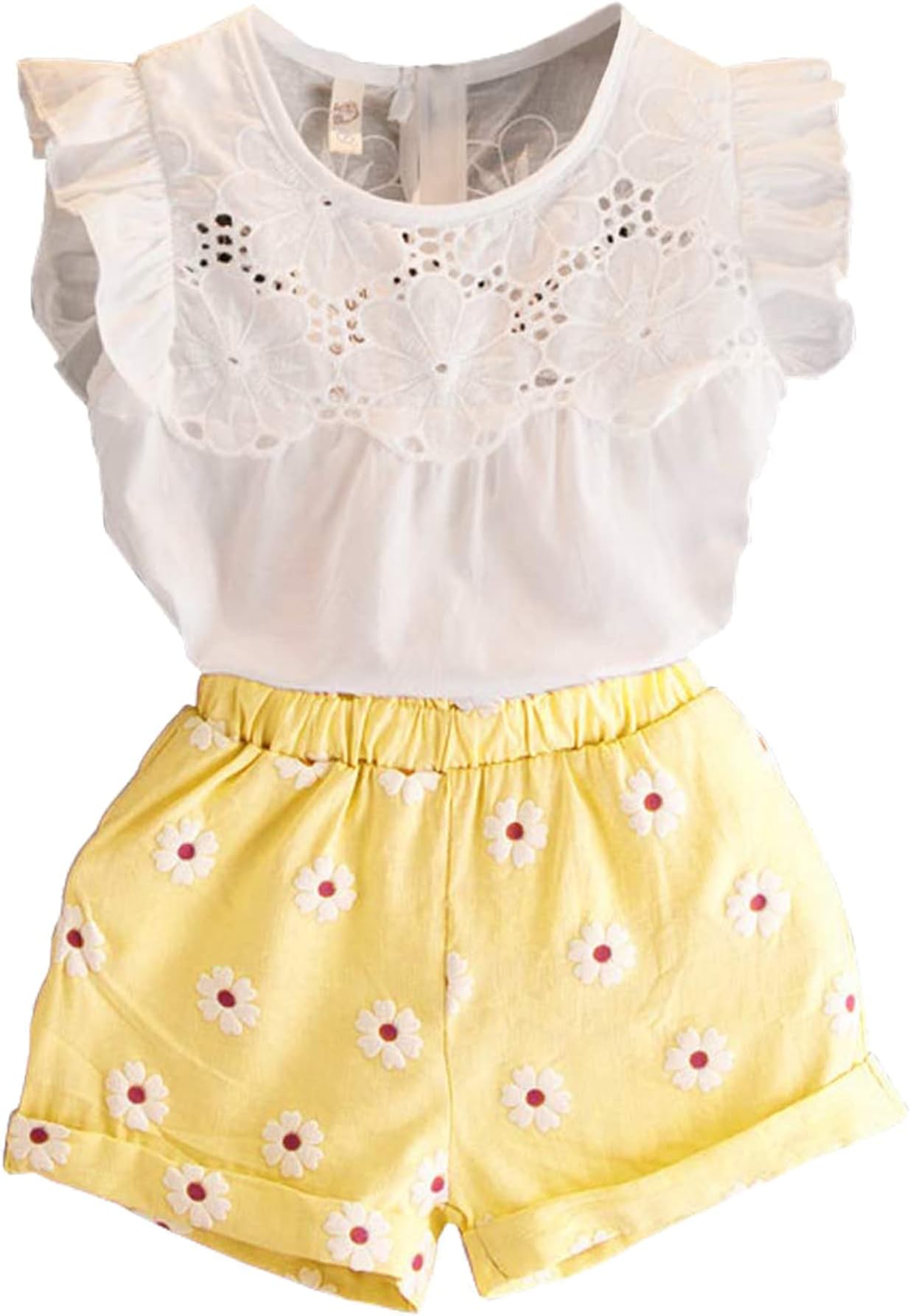 Toddler Kids Baby Girls Outfits Clothes T-Shirt Blouse Tops and Floral Shorts Pants Suit 2PCS Set