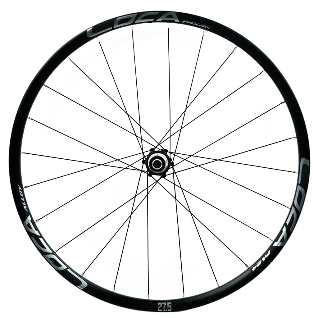 TUJISEK MTB Ruote 26/27.5/29 Pollici Rilascio Rapido Freno A Disco Ciclismo da Montagna Rim Ruote per 7 8 9 10 11 12 velocità Cassetta Ruota Libera 24 Buche(Silver 1,27.5in)