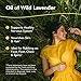North American Herb & Spice Lavenol - 1 fl. oz. - Wild Lavender Oil - Supports Healthy Nervous System, Nourishes Skin & Hair - Non-GMO - 430 Servings