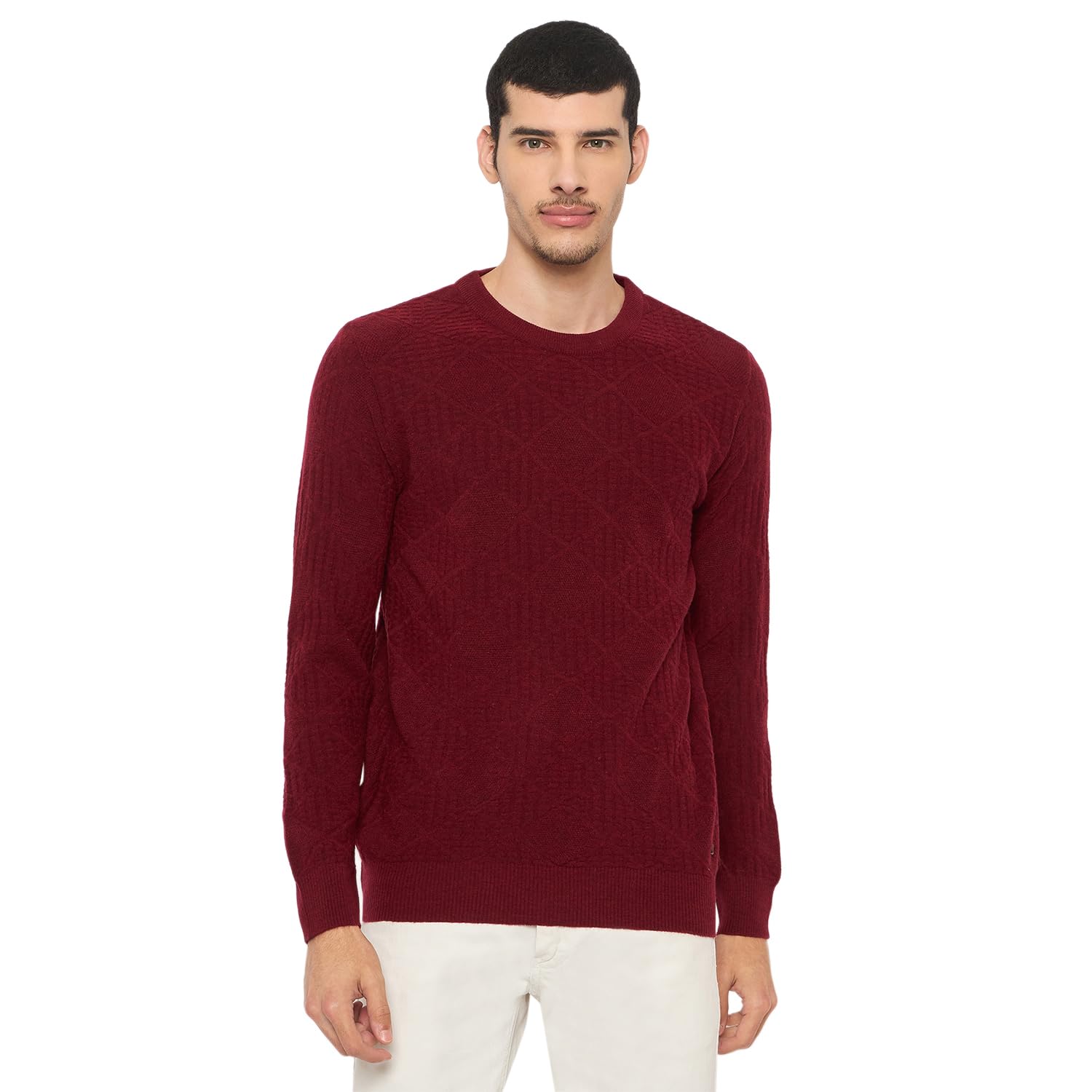 duke Stardust Men Full Sleeve Round Neck Sweater-picture-45