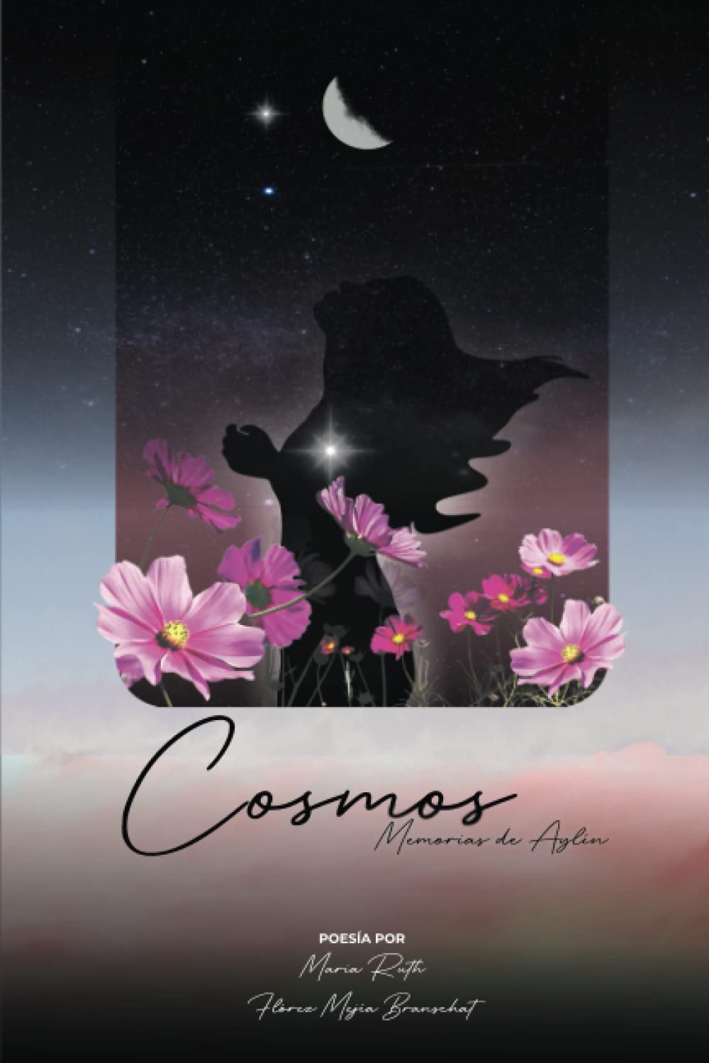 Cosmos: Memorias de Aylín