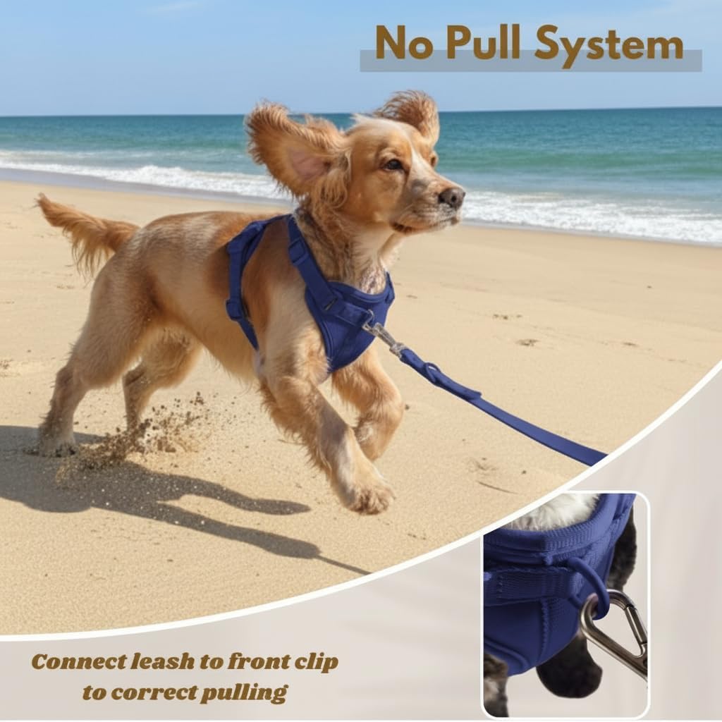 No Pull Dog Harness with 3 Leash Clips, Adjustable Vest, Easy Overhead Fit, No Choke Pet Vest, Soft Padding Chest Panel Gentle Leader for Dog Harness for Medium Dogs Blue