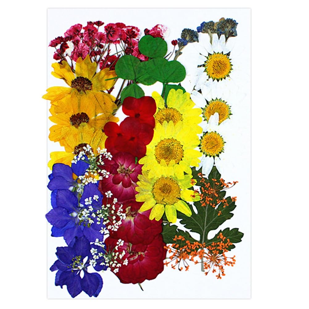 35PCS Pressed Flowers for Resin molds Colorful Dried Pressed Flower Leaves for Resin Jewelry Making Dry Flowers for Scrapbooking Crafts DIY Soap Candles Making Nails Décor Style 1