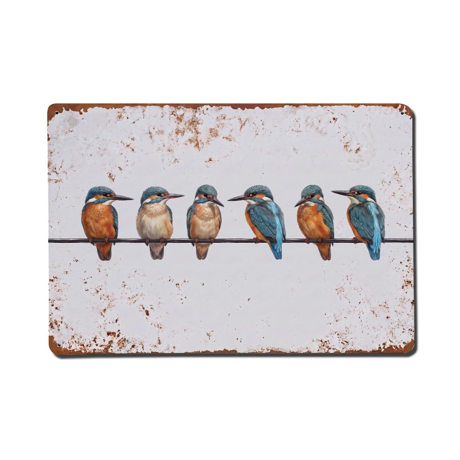 Vintage Retro Birds Kingfisher Metal Tin Sign