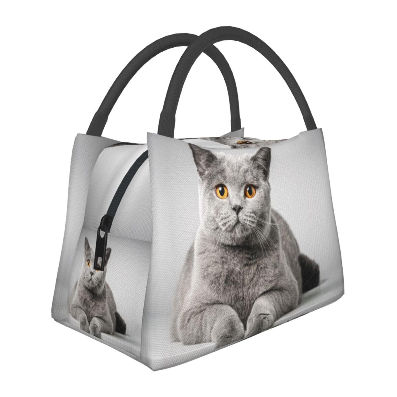 保冷保温お弁当袋　大き目ランチバッグ　ブリティッシュコーギー　ハンドメイド648 保冷保温お弁当袋 大き目ランチバッグ ブリティッシュコーギー