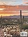 Tucson Travel Guide 2025: Explore Historic Landmarks, Mountain Hikes, Culinary Delights, Local Arts, Shopping Experiences, Night Sky Wonders, Detailed Itineraries, and Practical Tips