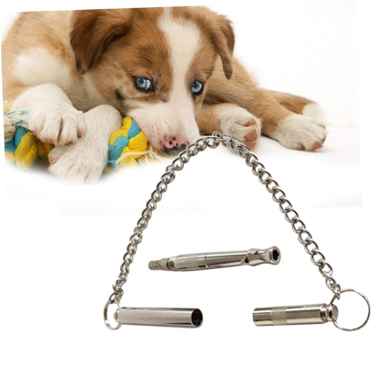 BESPORTBLE Whistle for Dogs Ultra-Loud Training Whistle Carry Lanyard for Small to Large Breeds
