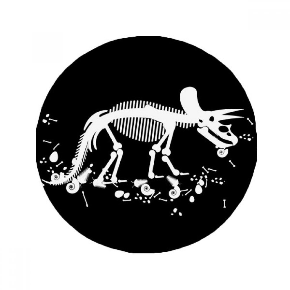 Tapis de bain os de dinosaure pour une décoration ludique