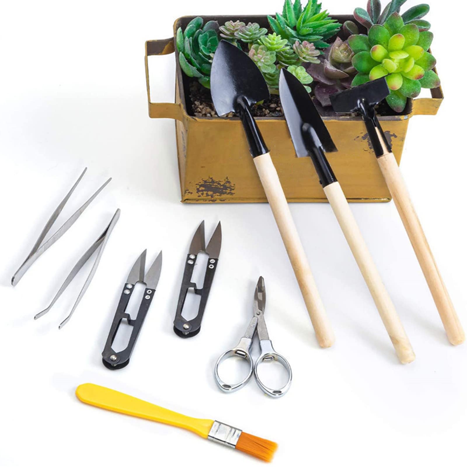 Tissting 12 Pcs Succulent Bonsai Tools Set, Iron Mini Transplanting Gardening Tools Transplanting Pruning Tool Flower Pot Cactus Care, for Beginners & Gardeners
