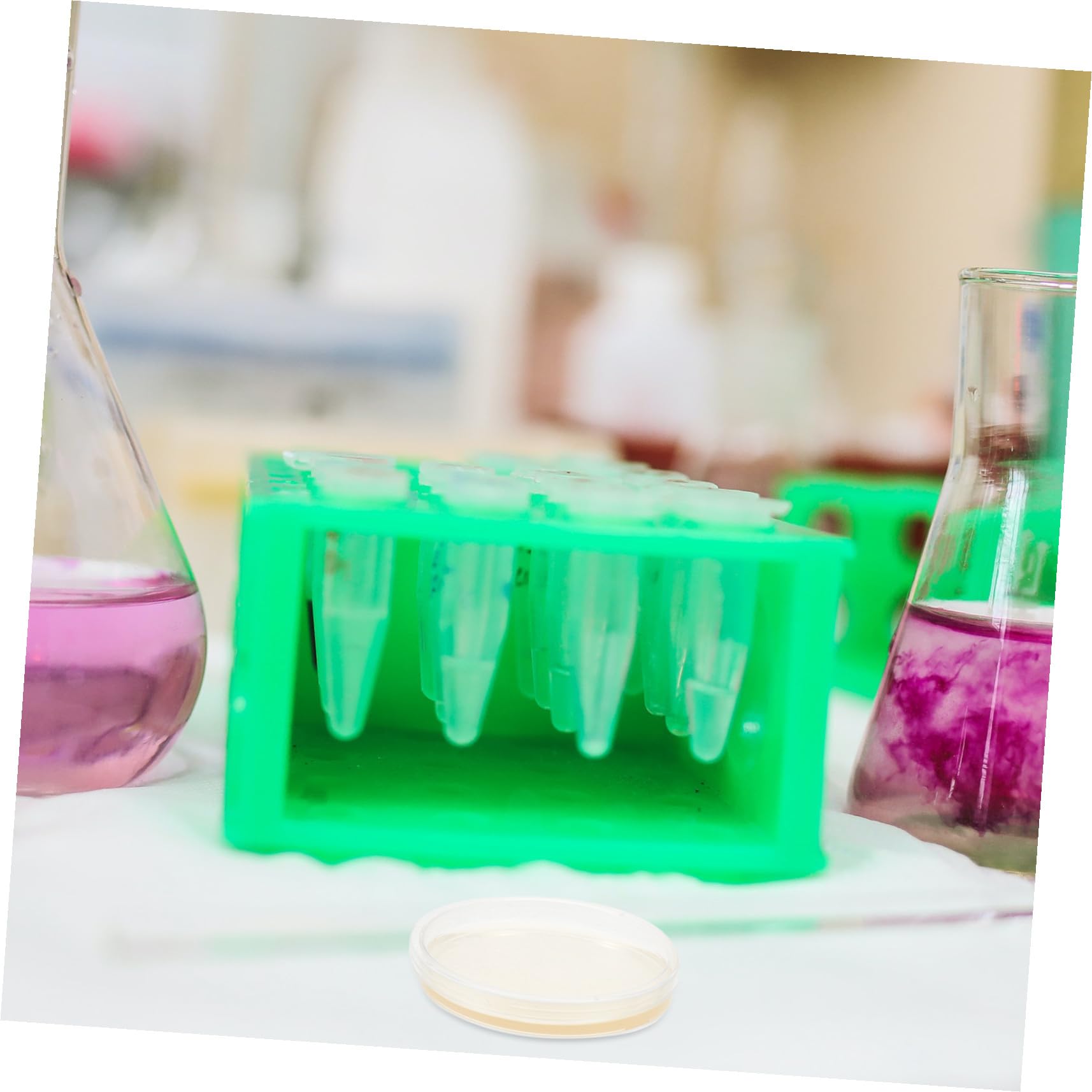 Placas de Petri de Agar Pre-vertido 10piezas 9cm Lb para Aislamiento | Suministros para Experimentos, Placas de Agar para Laboratorio, Decoracion Colegio