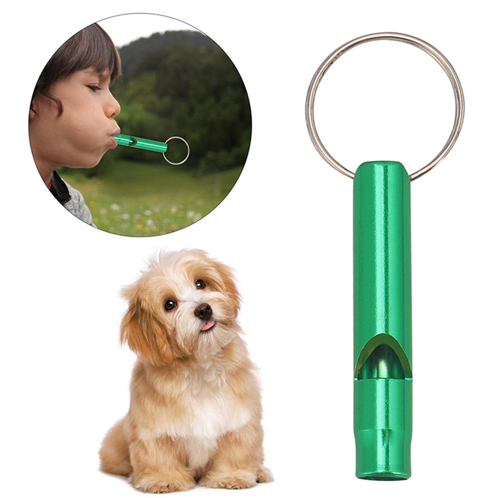 Best Dog Whistle for Training: Top Picks to Boost Obedience