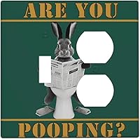 Vista 53 de Placa de pared de doble palanca de 2 cuadrillas con diamantes brillantes con diamantes, bonito ojo fucsia, placa frontal decorativa para dormitorio