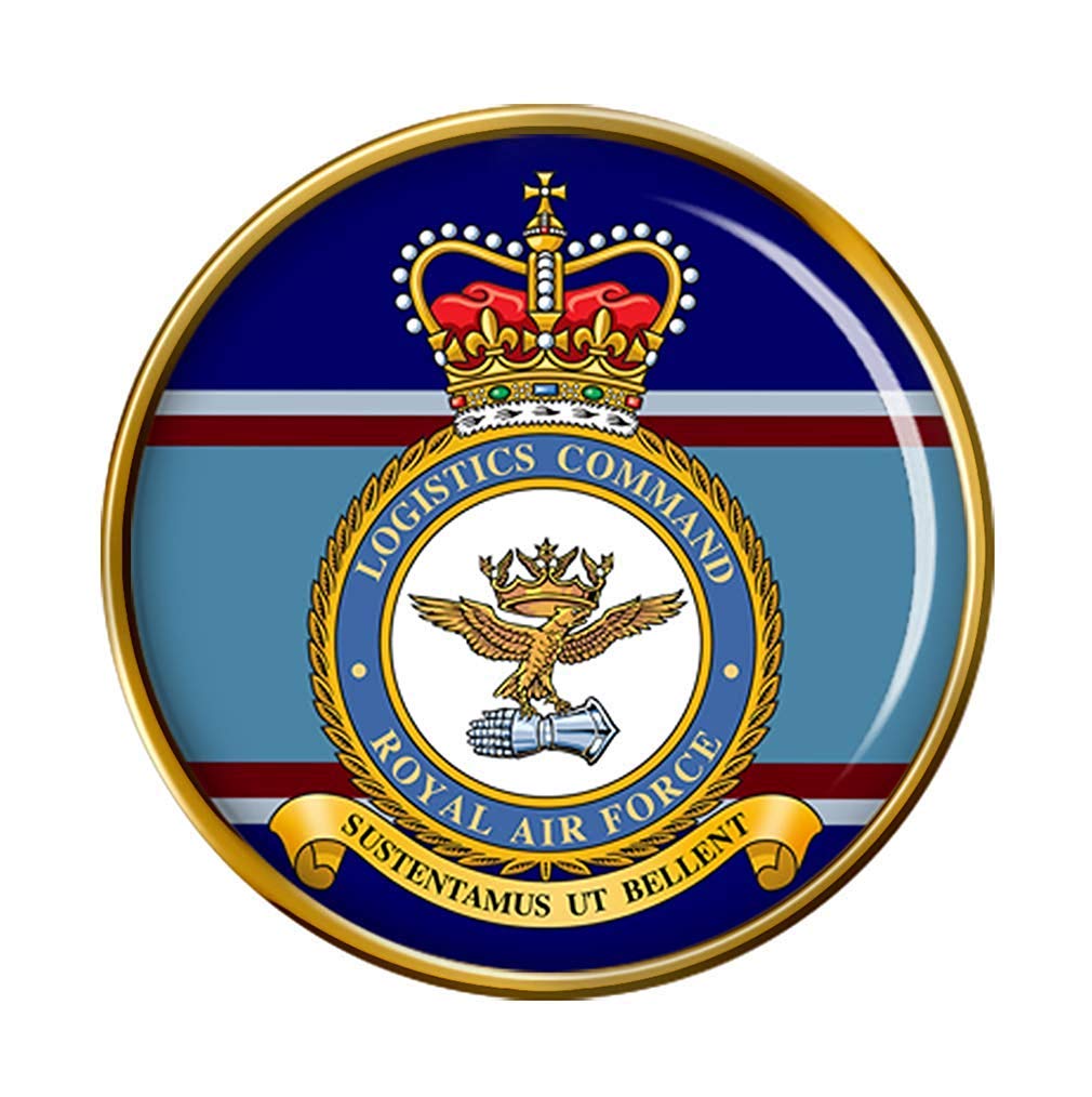 Spilla Distintivo RAF Changi - Royal Air Force Con Resina Dome Dorata - Made In UK, 23mm