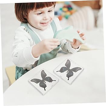 【レア】遊山箱　蝶々　絵入り fit=scale-down,w=1200