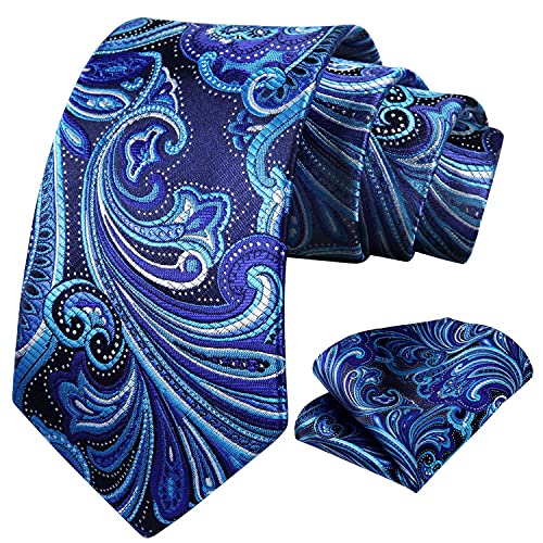 Image of HISDERN Ties for Men Paisley Tie and Pocket Square Woven Classic Floral Mens Ties Handkerchief Set Wedding Party Necktie