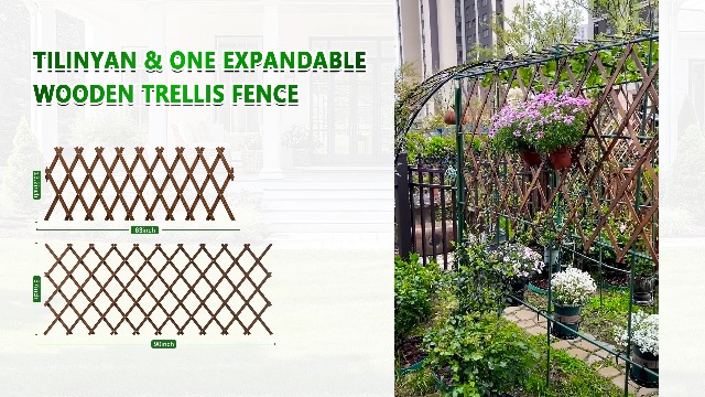Amazon.com : 2 PCS Expandable Garden Trellis, 37