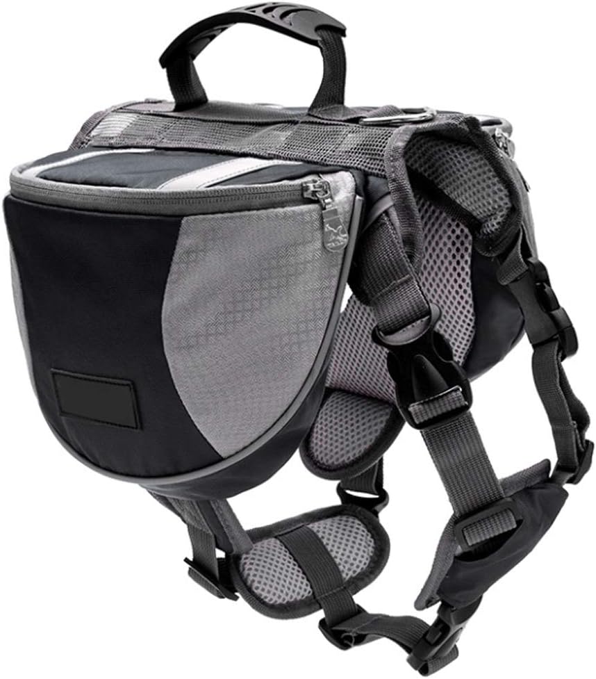 borse da sella con cani di servizio