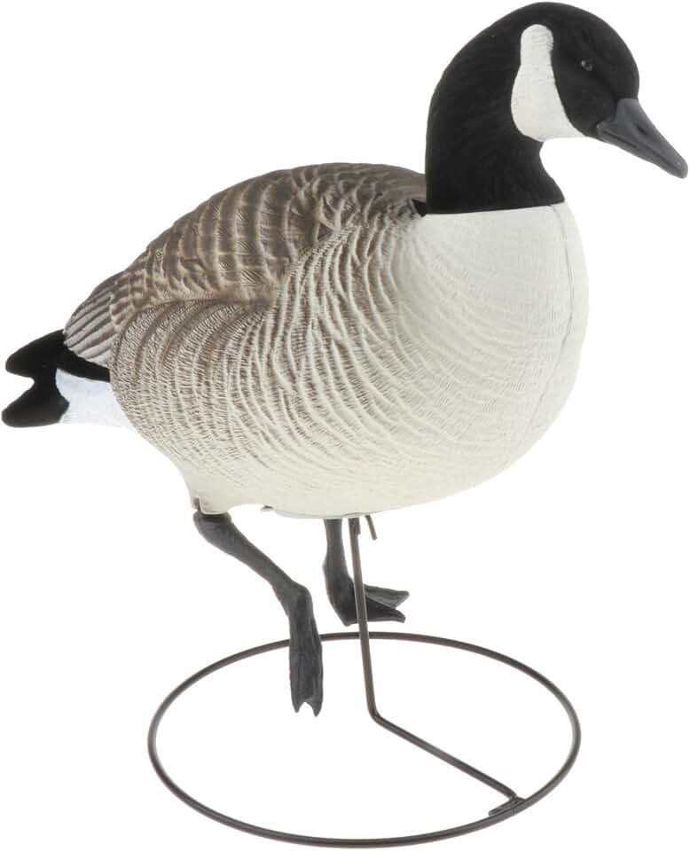 Canadian Goose Lawn Ornament
