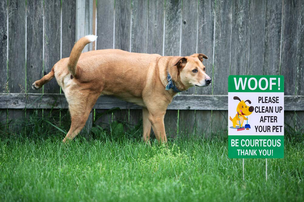 Doppelseitiges „Bitte Nach Ihrem Hund Aufräumen“-Schild – 30,5x20,3 Cm, Mit H-Pfählen Für Hof & Rasen