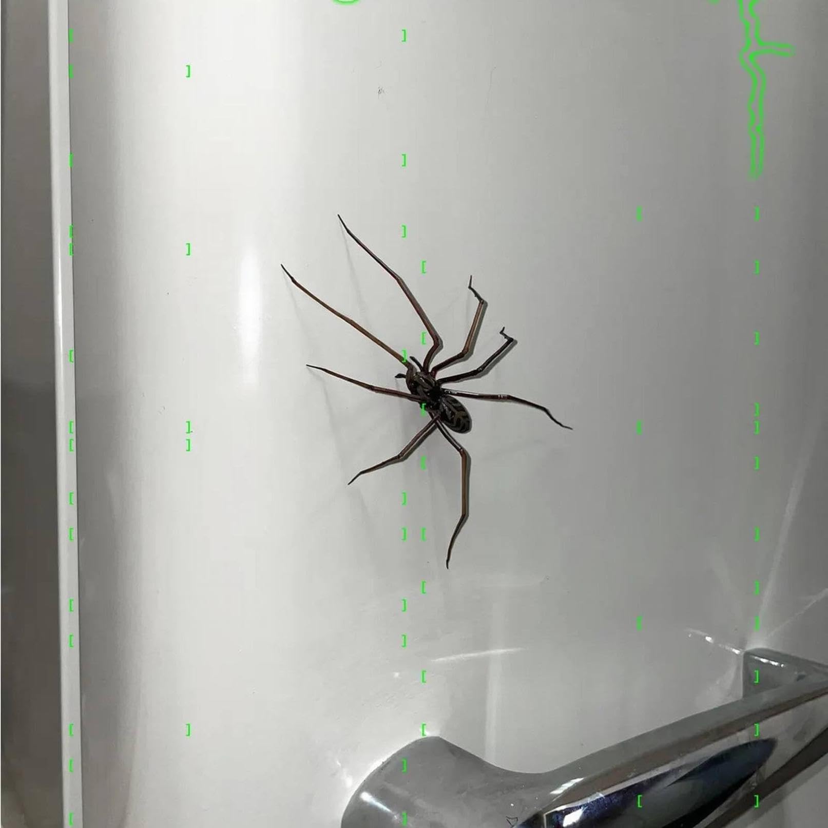 Spider Fridge Magnet Realistic Designs, Cute Decorations, Removable Indoor/Outdoor Magnet (2)