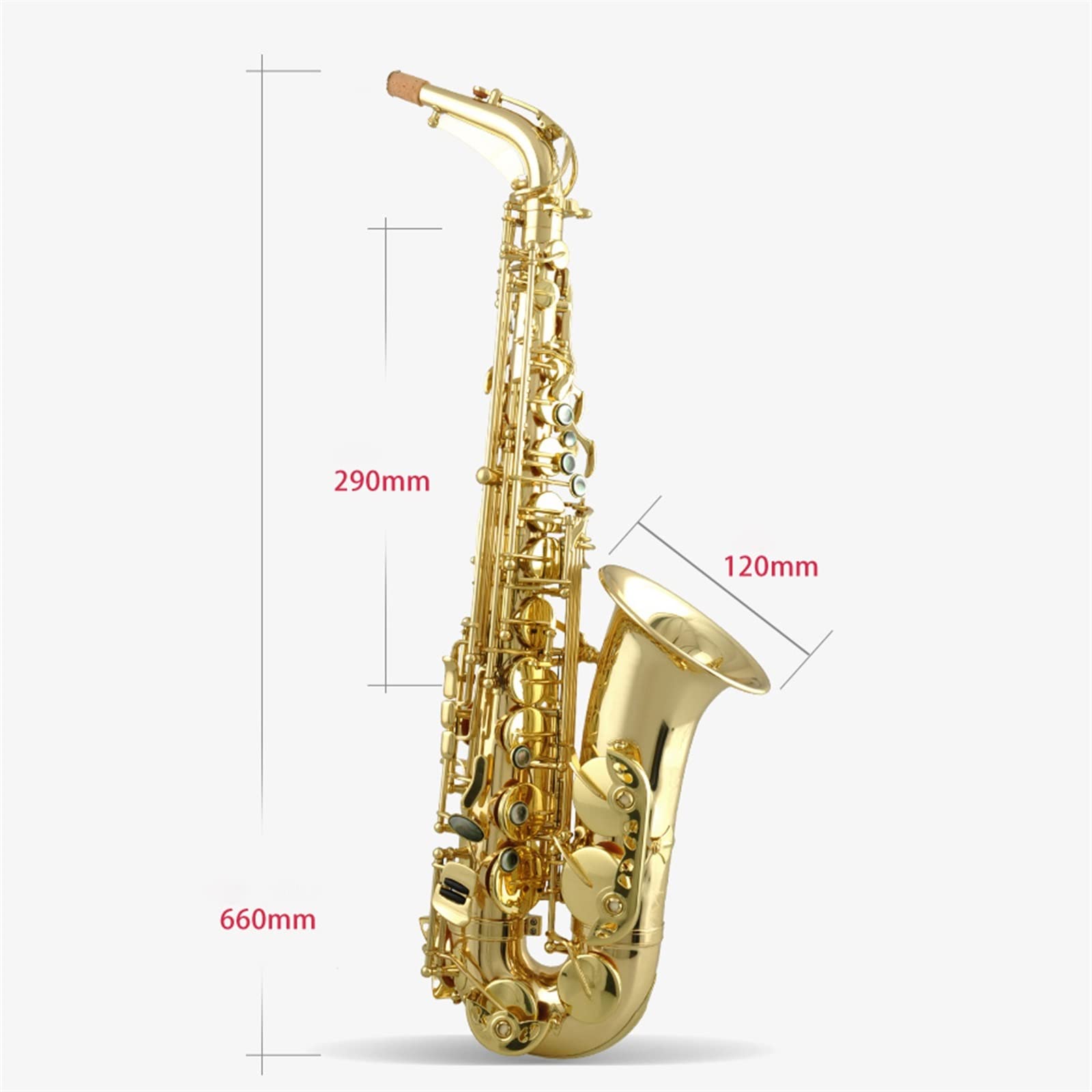 TSTS Das Es-Altsaxophon Ist Für Das Spielen Von Notenprüfungen Geeignet Saxophon Kit (Color : 1)