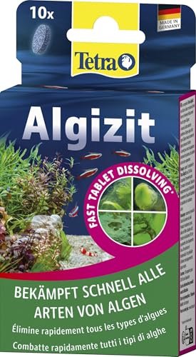 Tetra - 770409 - Algizit*