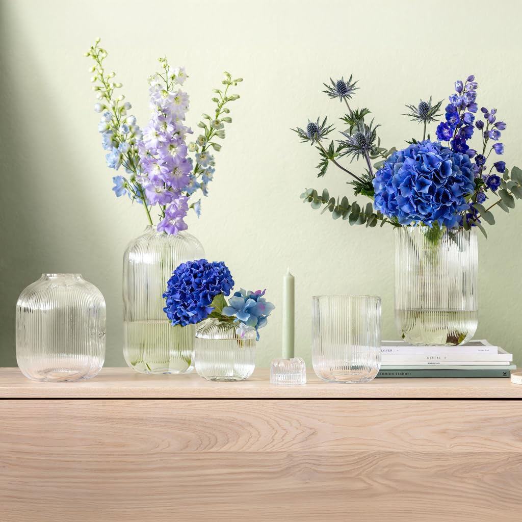 Villeroy & Boch - Fleur, jarrón Decorativo Transparente de 22,5 cm, Gran jarrón de Mesa Apto para lavavajillas, inspiración Floral, Hecho a Mano, Vidrio soplado, artículos de decoración para el hogar