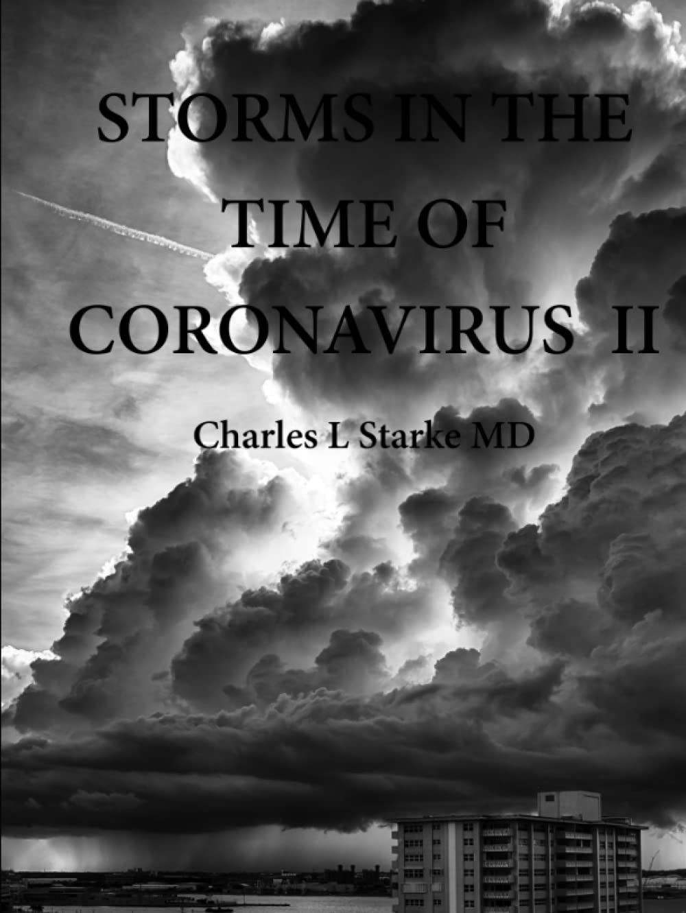 Storms in the Time of Coronavirus II livre de photographies d'art contemporain