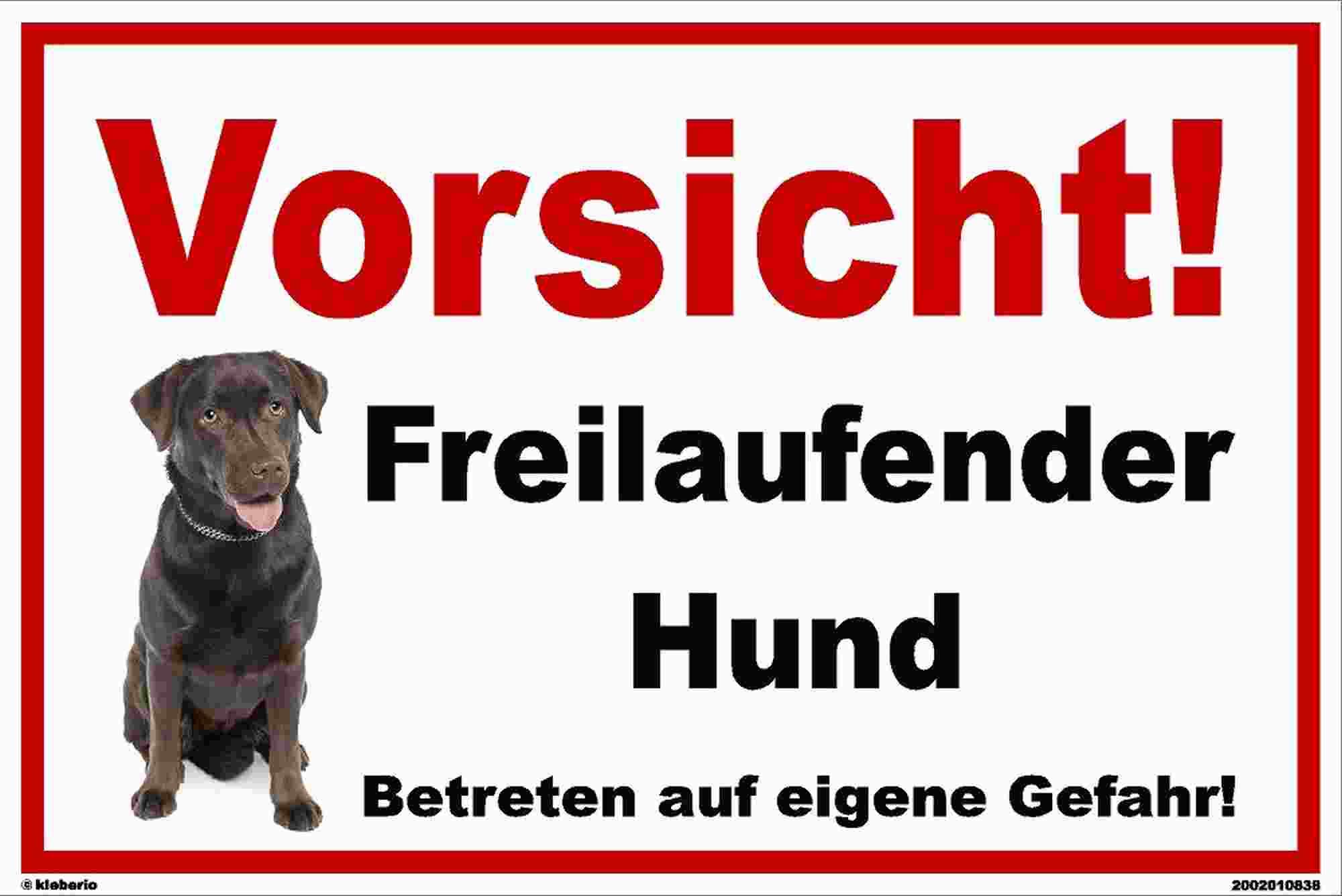 Schild 60 x 40 cm - Labrador Vorsicht freilaufender.. - Aluminiumverbundpl.