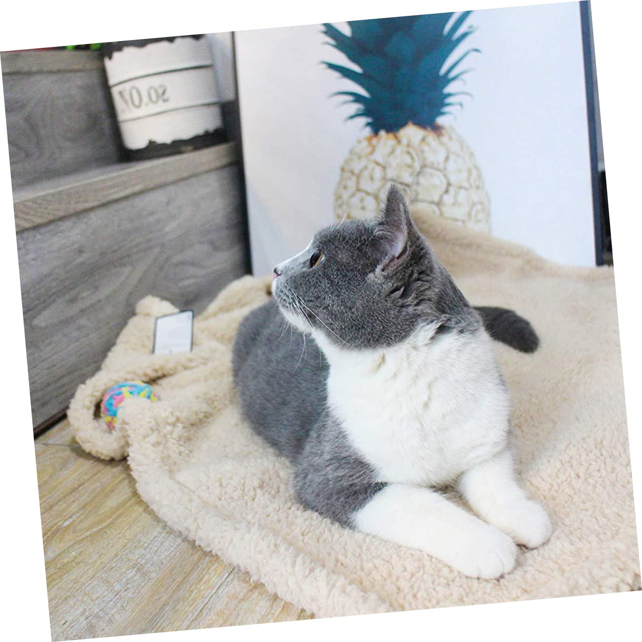 ABOOFAN Lot De 2 Couvertures Thermiques en Peluche pour Chien Et Chat Taille S Beige Super Couverture