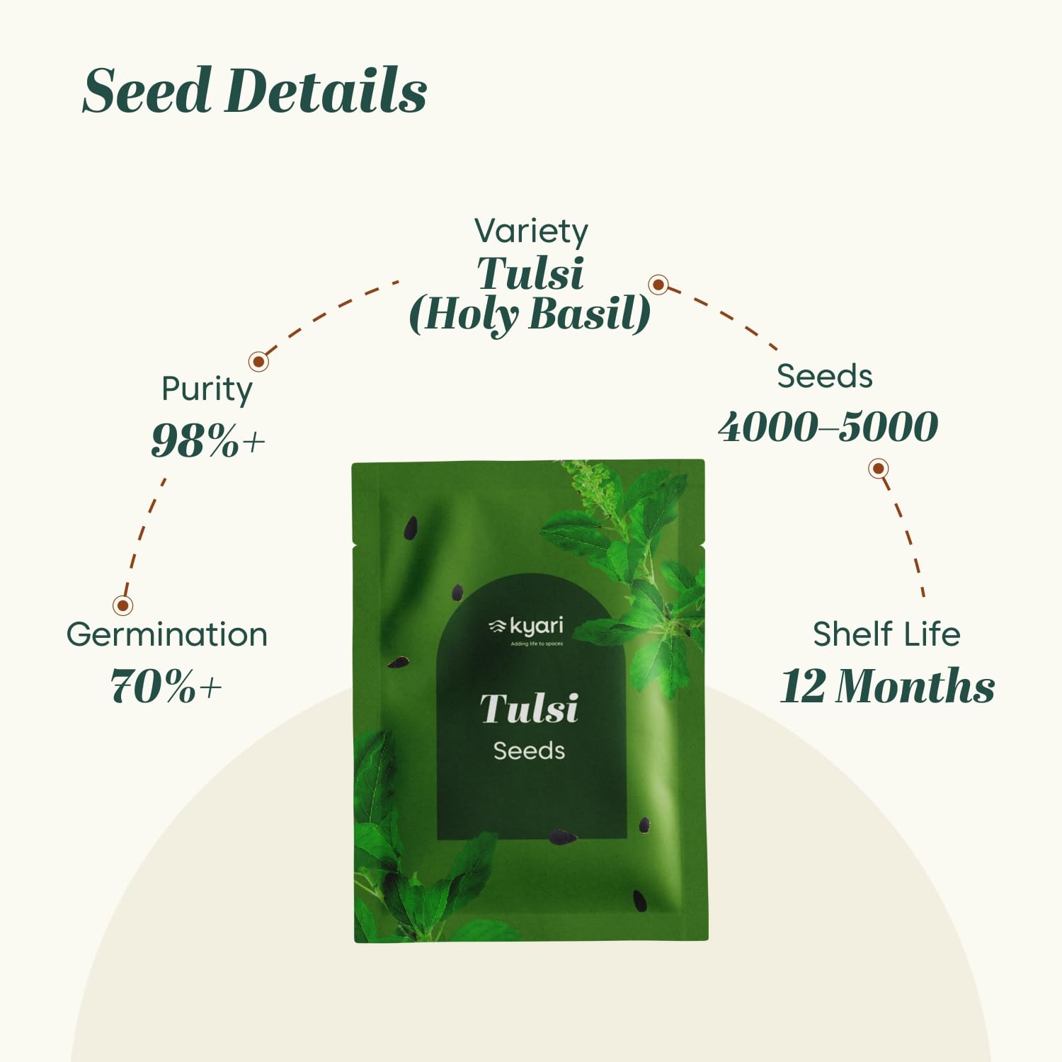 Kyari Tulsi Seeds - Holy Basil Herb Seeds -6