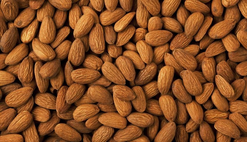 Image of Ancy Dry Fruits (California Almonds /Badam 500G)