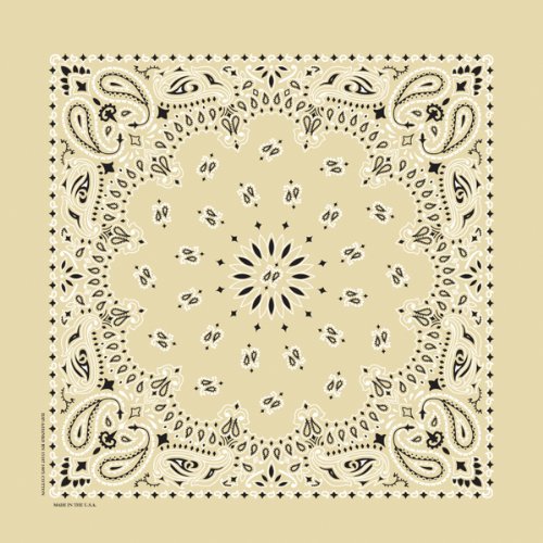 CAROLINA HAV, A, Hank Paisley Bandanna, 22-Inch by 22-Inch, Beige