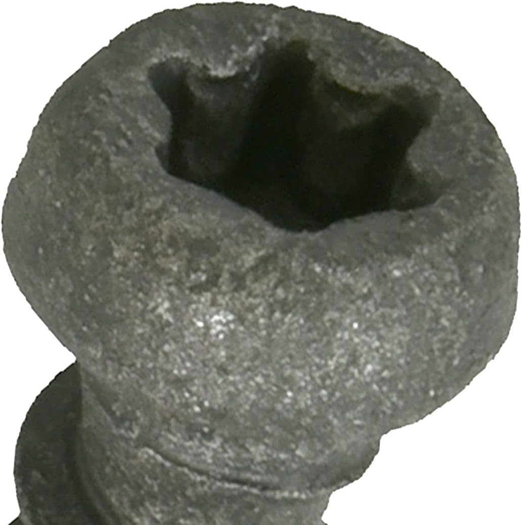 Deck Plus 48443 Gray Star-Drive Composite Deck Screws (#10 x 3")