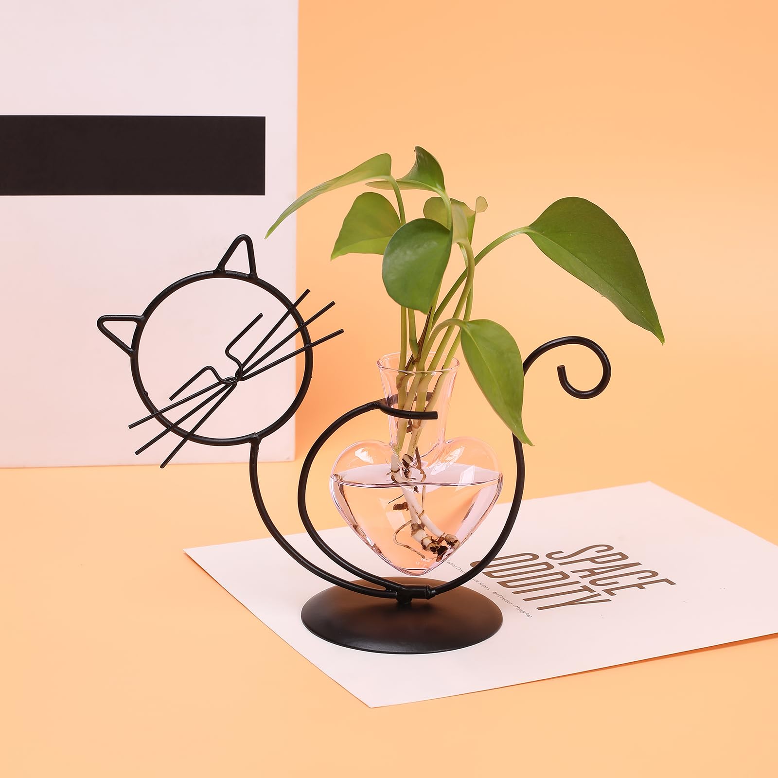 Terrarium roślina stacja rozmnażania roślin miłośnik kotów prezenty dla kobiet miłośników roślin dom biuro dekoracja kot biurko akcesoria