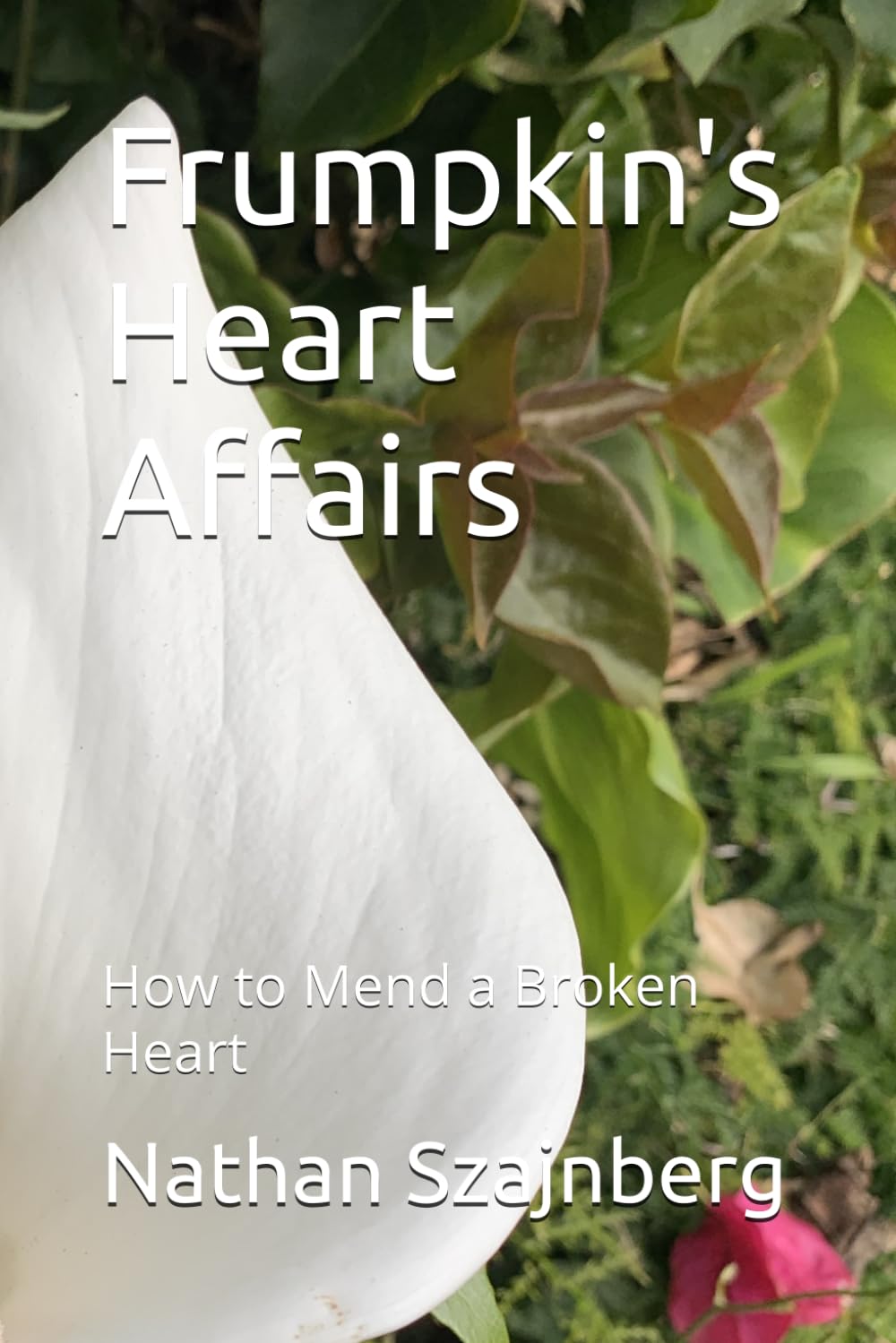 Frumpkin's Heart Affairs: How to Mend a Broken Heart