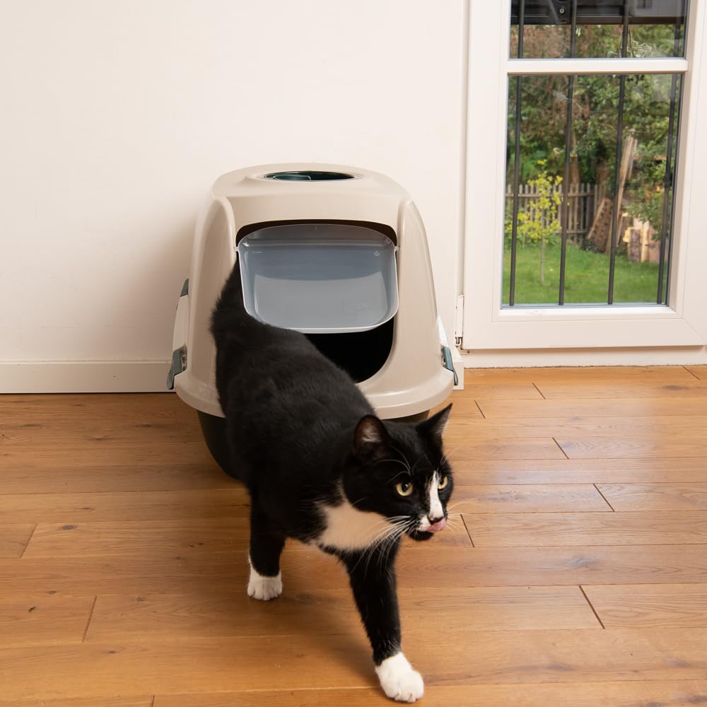Haubentoilette für Katzen | aus 90% recyceltem Plastik | für größere & mehrere Katzen | inkl. Kohlefilter gegen Gerüche & praktischem Tragegriff | Maße: 64 x 46 x 45 cm