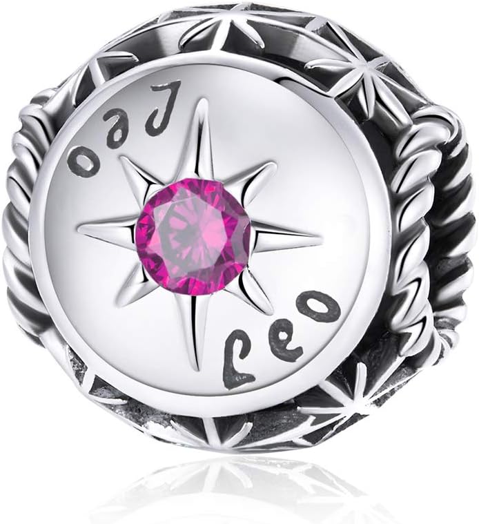 Zodiac Sign Charm fit Charms Bracelet, 925 Sterling Silver Star Bead Charm 12 Horoscope Constellation Charm fit Pandora Bracelet, Birthday for Women Jewelry Gift