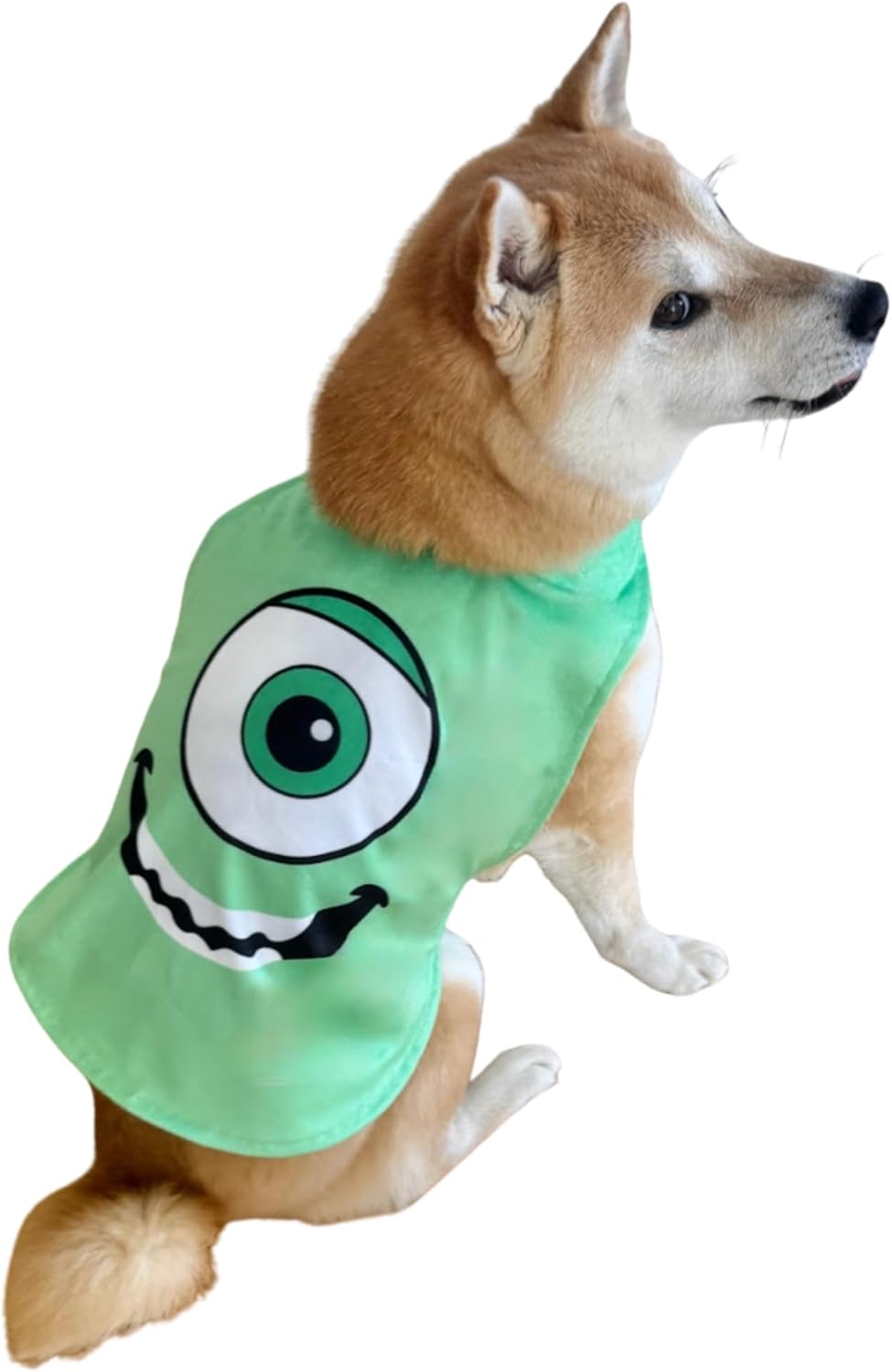 Disfraz de Capa Alien Ojos Saltones para Perro ComfyCamper - Talla S