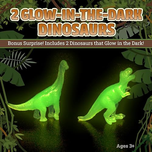 Vista 4 de DinoMax Huevos de dinosaurio para niños, kit educativo de excavación con 15 huevos, juguetes de dinosaurio, huevos de Pascua, tarjetas