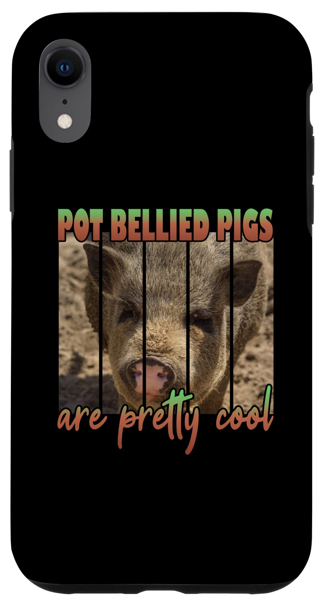 iPhone XR Pot Bellied Pigs Are Pretty Cool Case