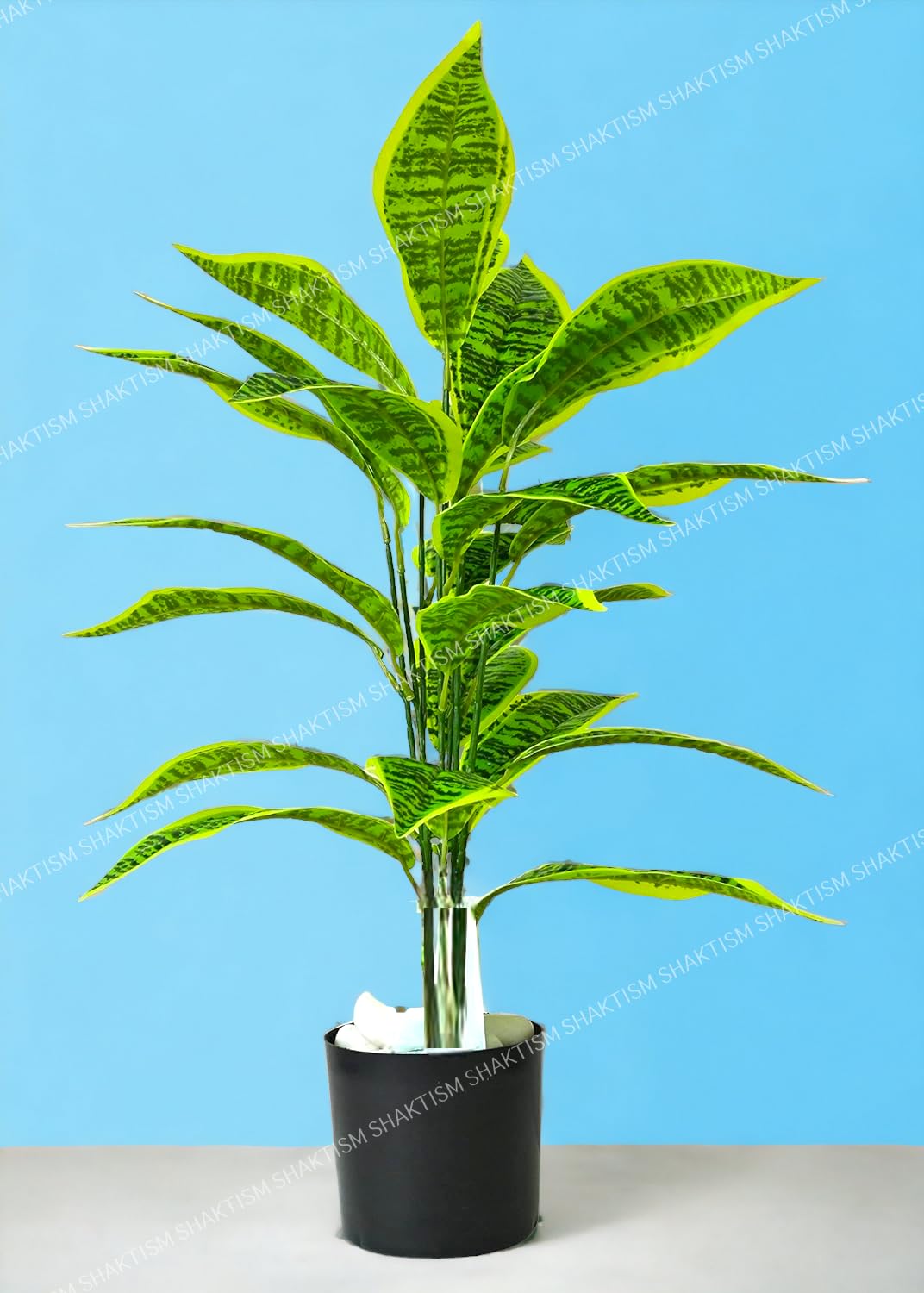 SHAKTISM Artificial Croton Plant Ornamental Plant, Natural Looking Indoor and Outdoor Plant for Interior Décor Home Décor Office Décor Without Pot - 1 Pcs (Green-Snake) (B0CNHCD4HY) Amazon Price History, Amazon Price Tracker