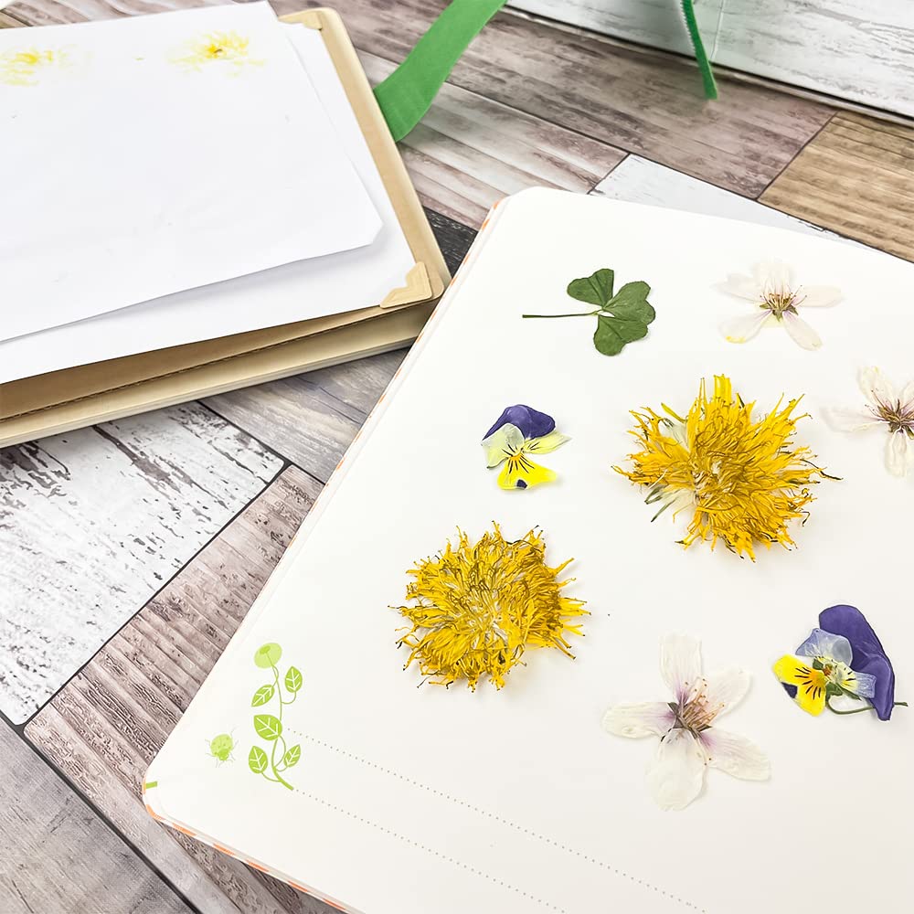 JazRvr Blumenpresse 11-teiliges Set - Kompakte Pflanzenpresse Für Bastelprojekte | Ideal Für Kinder & Naturliebhaber