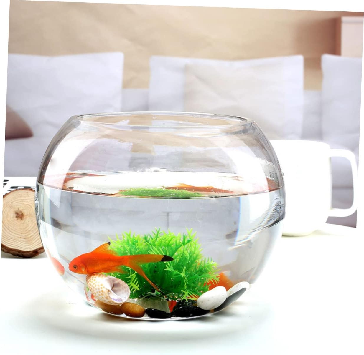 Garneck 2Pcs Glass Terrarium Hydroponic Container for Indoor Plants Round Micro Landscape Bottle for Home Decoration Succulent and Moss Display Compact and Lightweight Design