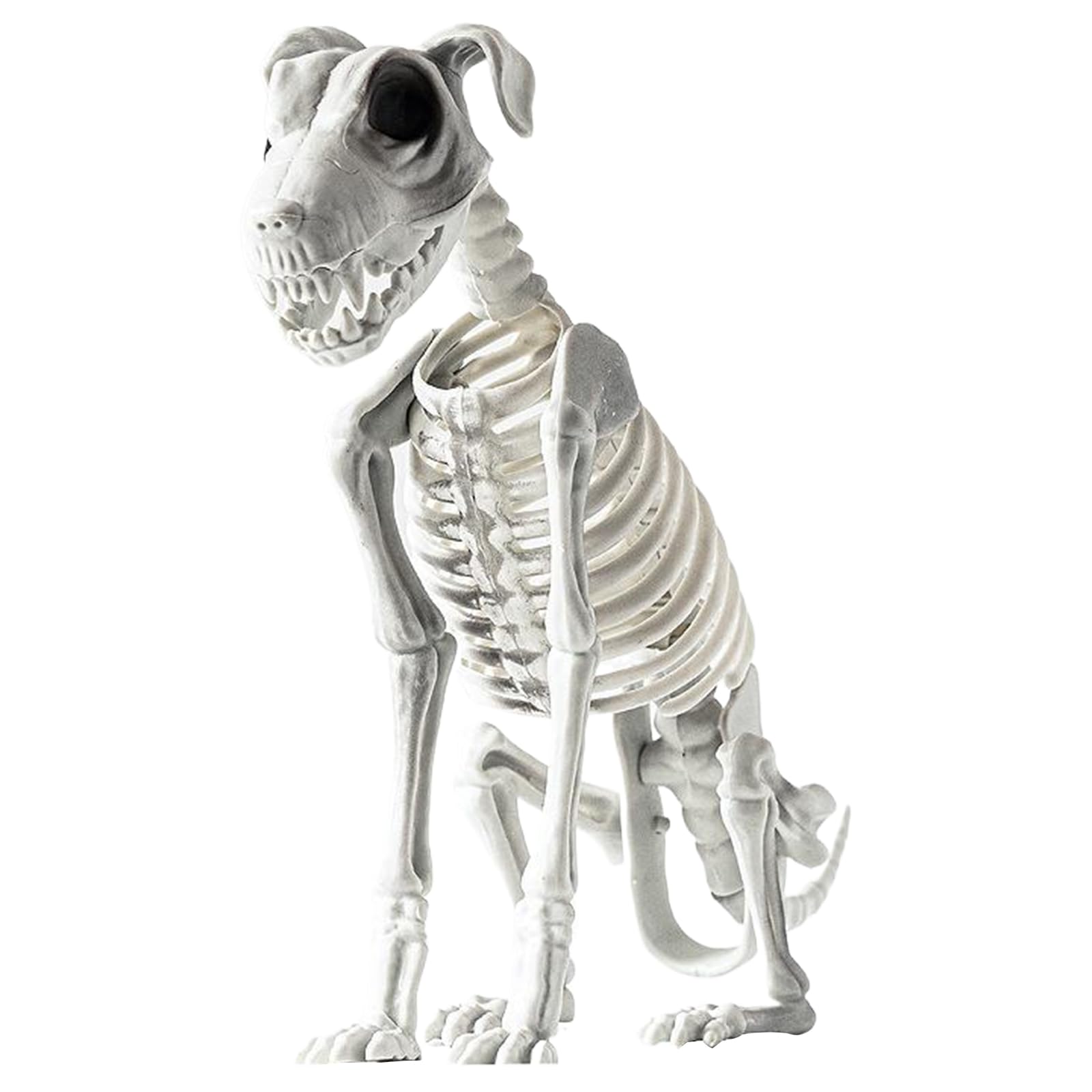Hbbgdiy Skeleton Dog Halloween Decoration Sitting Dog Skeleton 17.3x12.2in Scary Animals with Sharp Teeth Spooky Pet Decor for Home Haunted House Party
